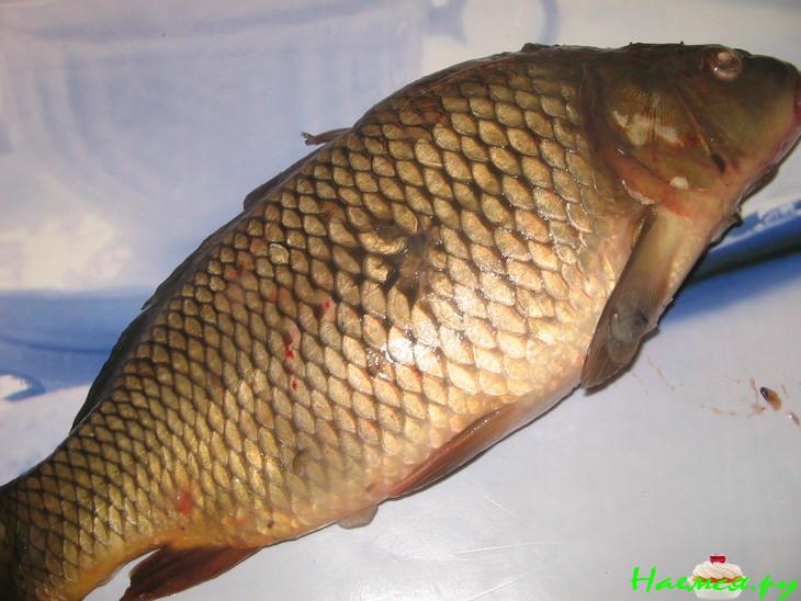 Cуп рыбный (карп)