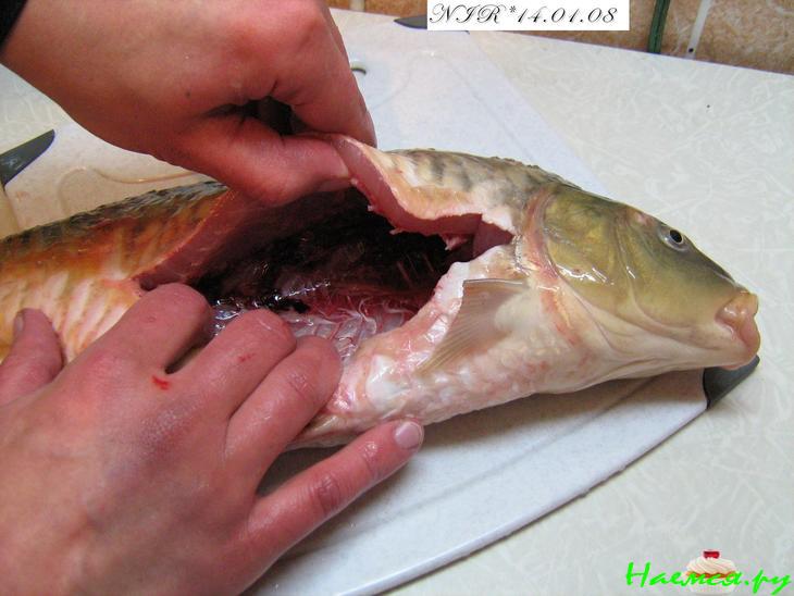 Карпуша Карпуша