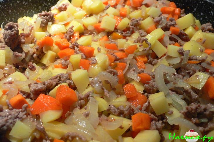 Тушёная картошка с луком и фаршем (Geschmortes Zwiebelhackfleisch)