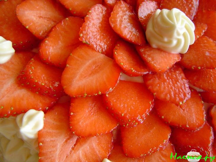 Торт Тирамису с клубникой Торт Тирамису с клубникой