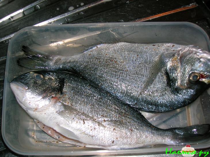 Дорада запеченная с овощами