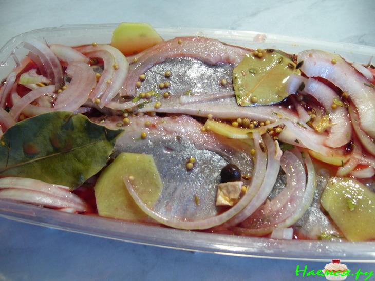 Селедка-селедочка пряная 