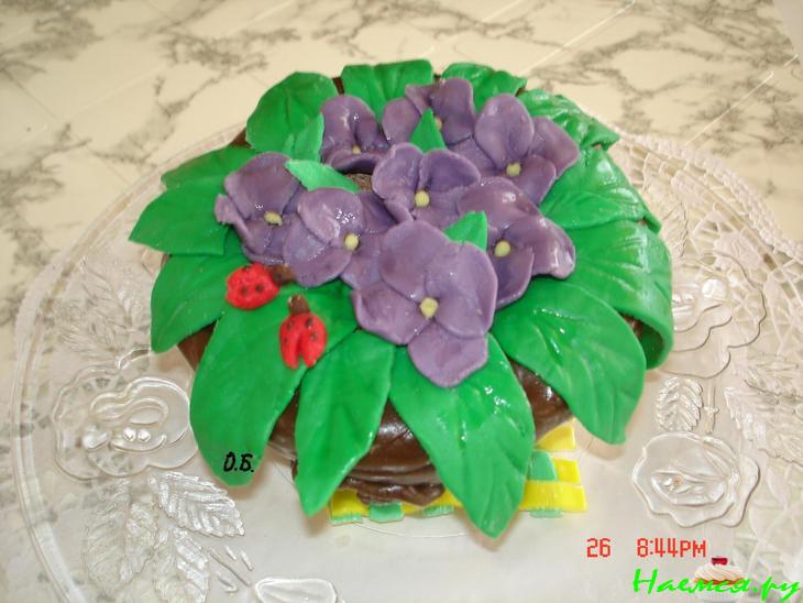 Торт "Горшочек с фиалками" Торт "Горшочек с фиалками"