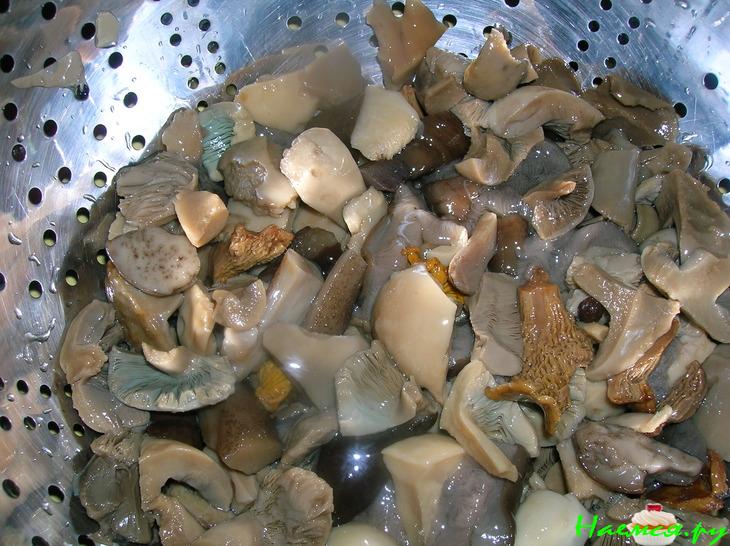 Венгерская токань с творожно-укропными клецками