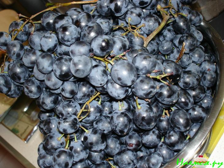 Вино виноградное, и не только...