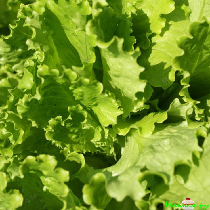 Канапе с креветками, сыром и маслинами