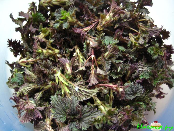 Весенний суп с крапивой (постный) Весенний суп с крапивой (постный)