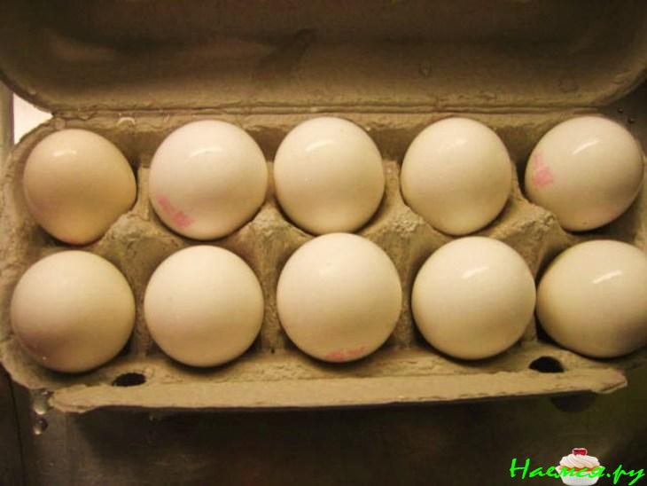 Мои пасхальные яйца Мои пасхальные яйца