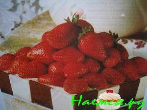 Торт "Шоколадная коробочка"