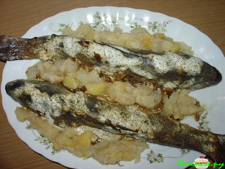 Радужная форель на луковой "грядке"