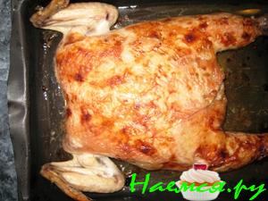 Нежненькая курочка