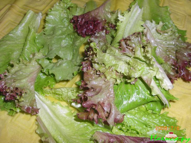 "Коралловый"