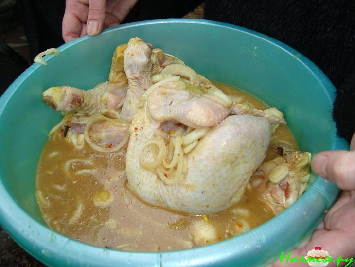 Хмельная кура