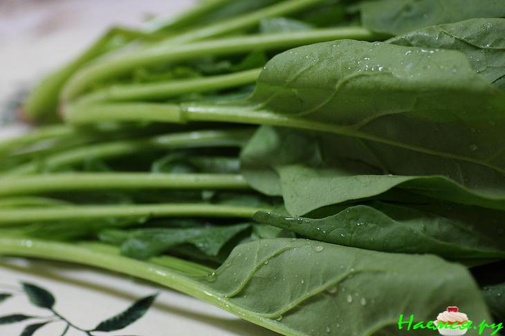 Шпинат. Закуска для Самурая Шпинат. Закуска для Самурая