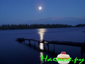 Лунная ночь