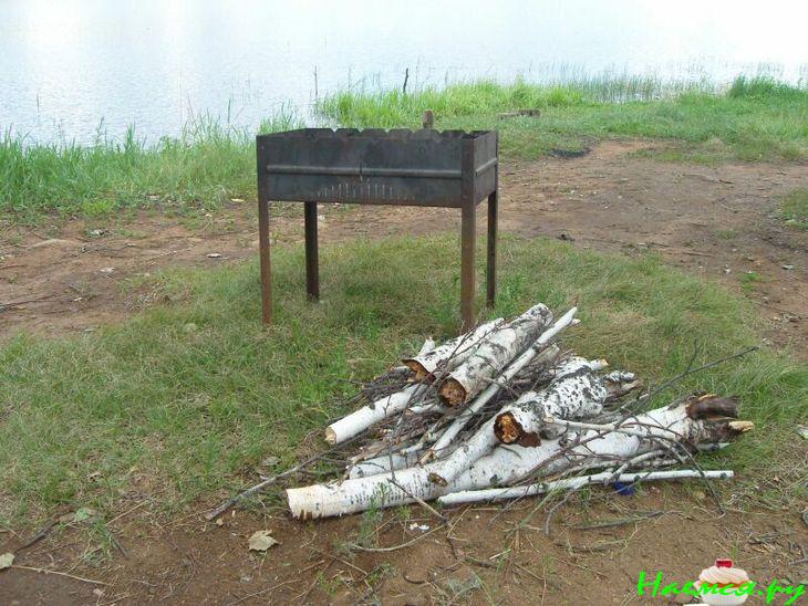 Окунь на углях