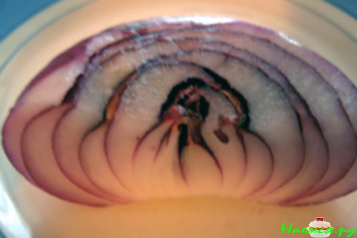 Закуска из селедки