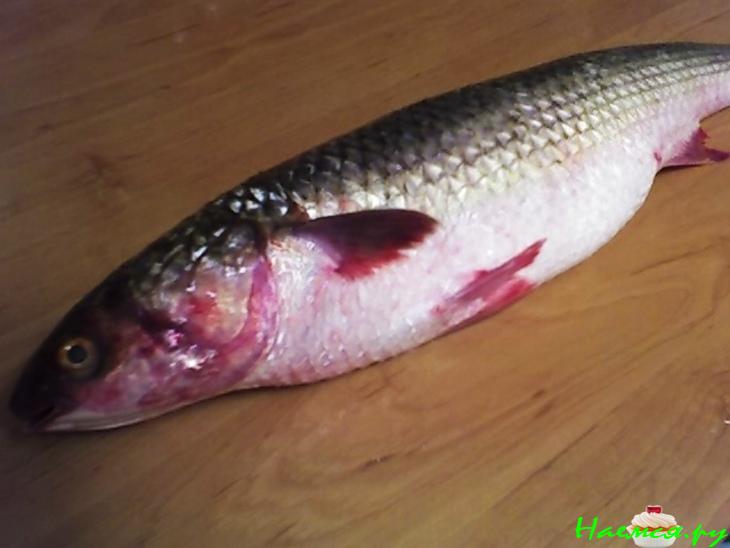 Рыбка на завтрак