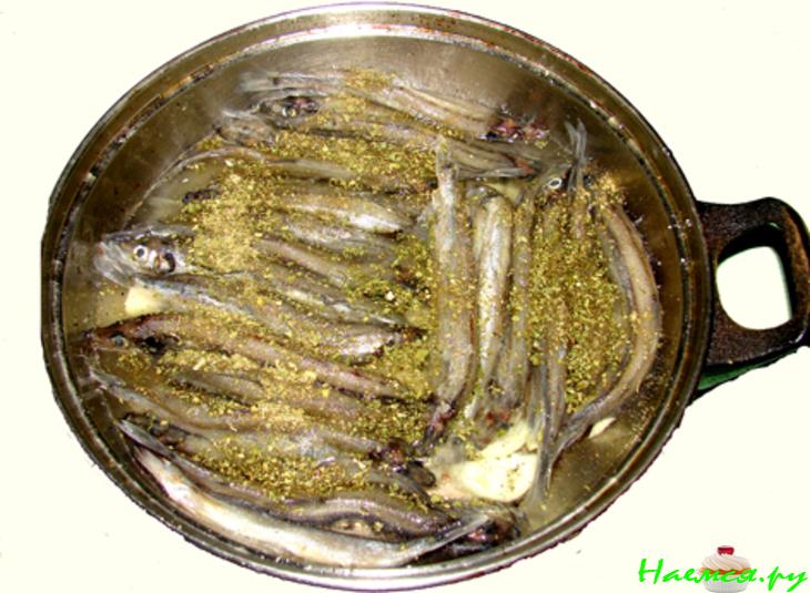 Рыбки хотите? Рыбки хотите?