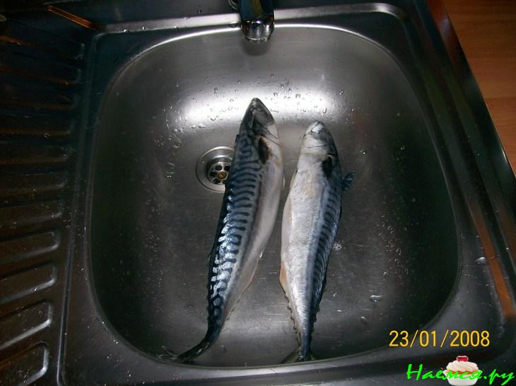 Скумбрия в маринаде гриль Скумбрия в маринаде гриль