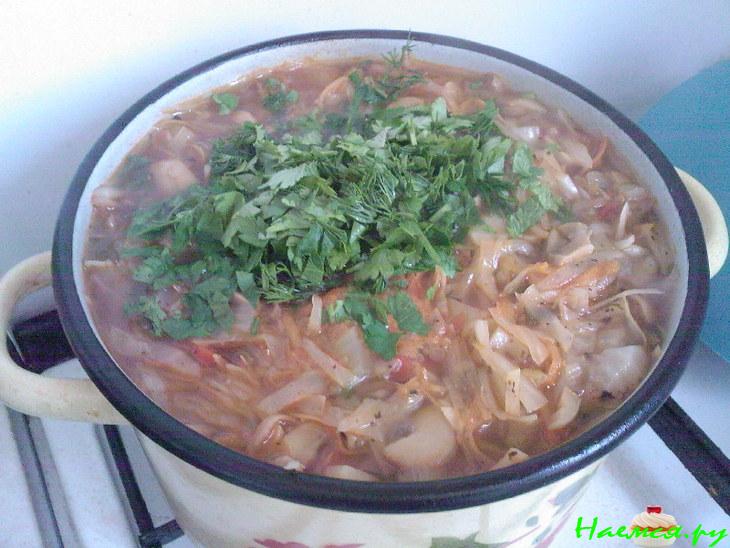 Щи из квашенной капусты с грибами