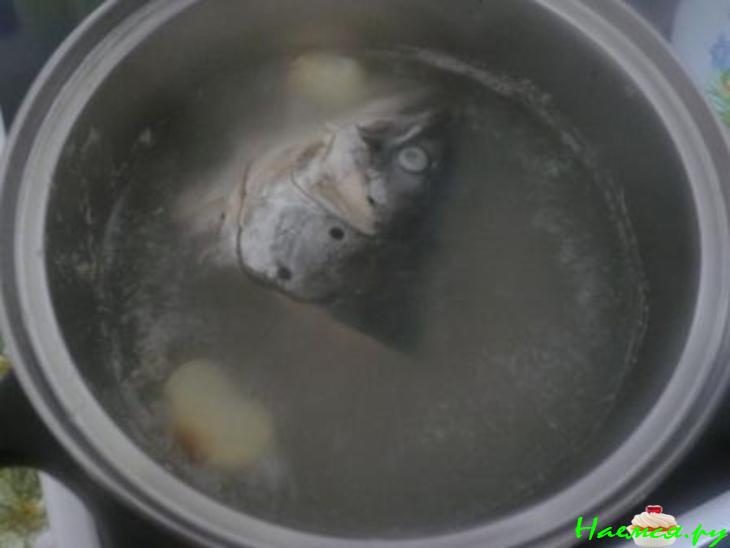 Уха антикризисная