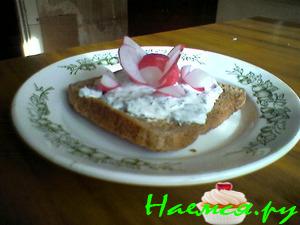 Теплые тосты с редиской и сметаной