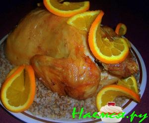 Оранжевая курочка