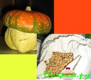Тыква с машем