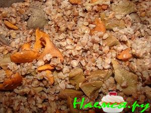 Гречка с печенью и грибами в казане