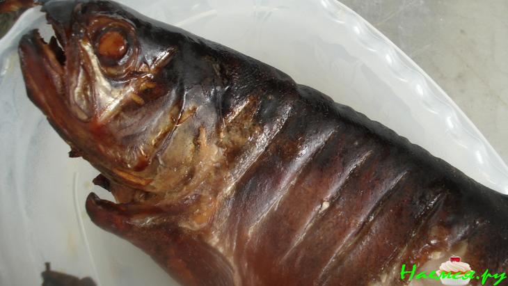 Копчение дома, вернее, на природе  