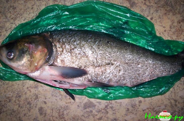 Цивилизованный Сугудай