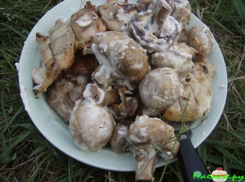 Шашлык из страуса