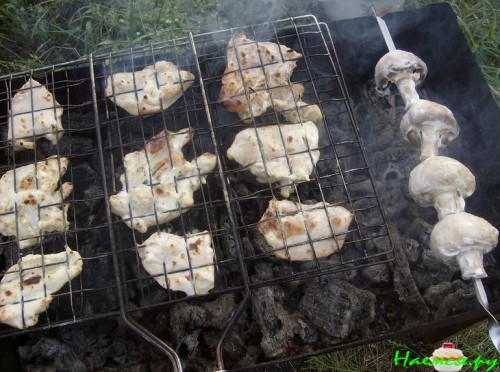 Шашлык из страуса