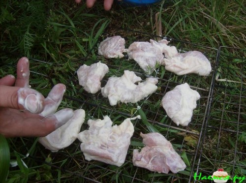 Шашлык из страуса