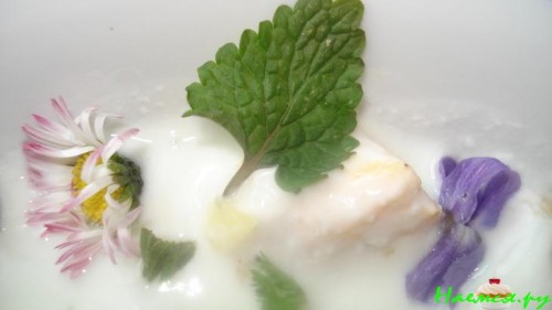 Дикая окрошка