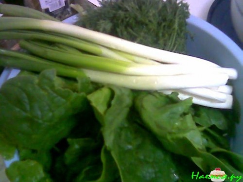 Фрикасе с курочкой