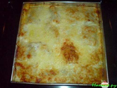 Лазанья-роллы