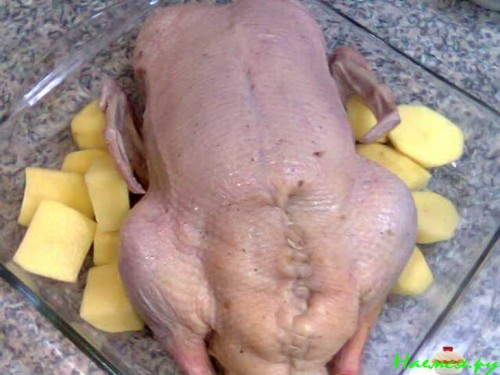 Утка на праздник