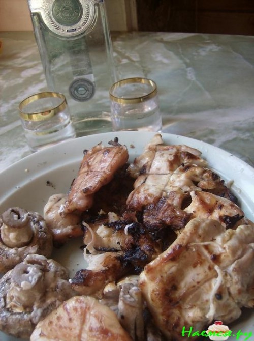 Шашлык из страуса