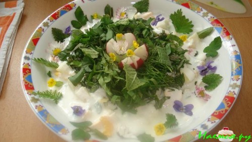 Дикая окрошка