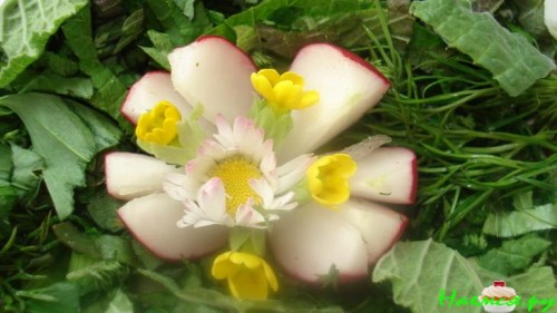 Дикая окрошка