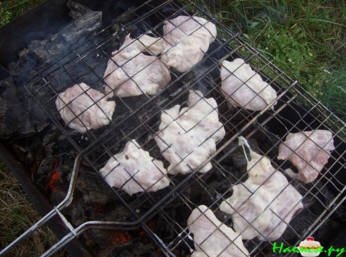 Шашлык из страуса