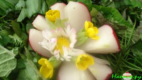 Дикая окрошка