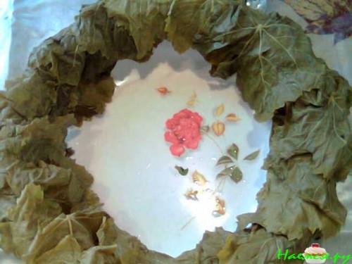 Долма из виноградных листьев