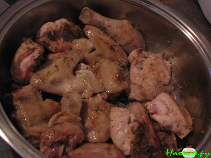 Цыплята плакия