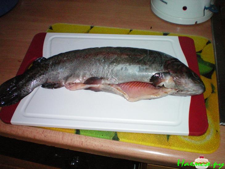 Рыба под морковно-сливочным соусом Рыба под морковно-сливочным соусом