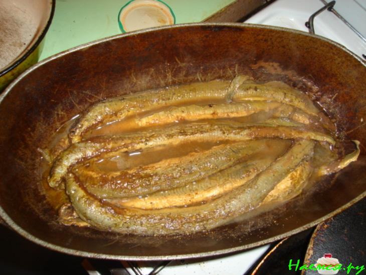 Минога в желе