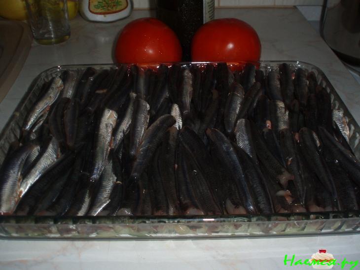 Хамса в духовке Хамса в духовке