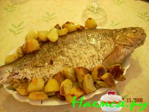 Карп 3 в 1 Карп 3 в 1